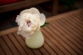 /album/foto-pripravy/dsc-8813-jpg/